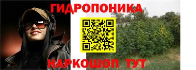 дурь Можга