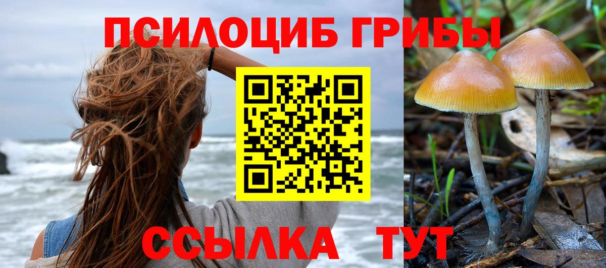 Владимир  Галлюциногенные грибы ЛСД  купить наркотик  Вход с VPN 